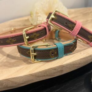 pet collars