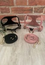 Pet Harness - Image 2