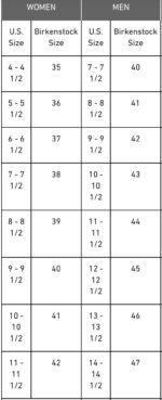 Monogram Birkenstocks - Double Strap - Image 4