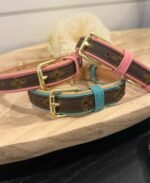 pet collars
