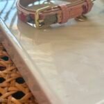 GG Blooms Pet Collar